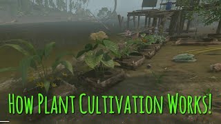 Everything You Need To Know About Plant Cultivation  Green Hell [upl. by Ardnuhsal623]