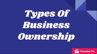 Types Of Business Ownership [upl. by Sidonius123]