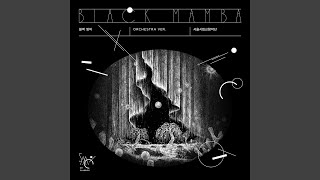 Black Mamba Orchestra Version [upl. by Ayortal]