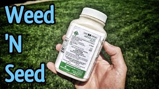 The BEST Weed Killer For SEEDING  DIY Lawn Care Tips [upl. by Noeled]