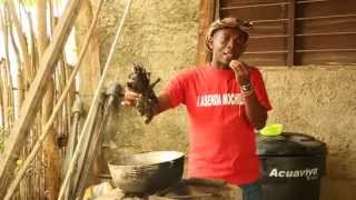 Cultura al Aire Especial San Basilio de Palenque [upl. by Mick23]