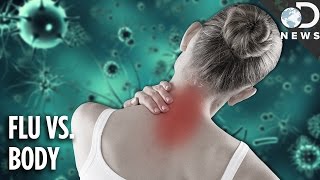 Why The Flu Causes Aches amp Pains [upl. by Ahsemit857]