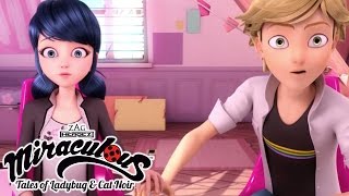 Miraculous Ladybug  🐞 Season 1 Compilation 🐞  Ladybug and Cat Noir  Animation [upl. by Atteyek502]