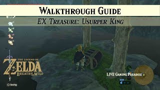 Breath of the Wild  EX Treasure Usurper King DLC 2 Side Mission [upl. by Maclay]