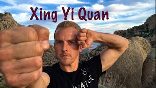 Xing Yi Quan for Beginners [upl. by Itsirk]