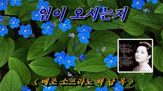 가곡 임이 오시는지 💜 소프라노 백남옥 HD with Lyrics 🌴🍀🌳🌻🌼 [upl. by Kellene]