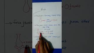 Types Of Fruits  Morphology Of Flowering Plant  Class 11th [upl. by Tilly]