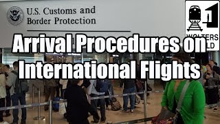 What is the Arrival Procedure on an International Flight [upl. by Dolores697]