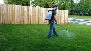 How To Kill Weeds  Spray Lawn Weeds With Tenacity [upl. by Neenaj215]