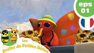 DRÃ”LES DE PETITES BÃŠTES  EP01  Le bel inconnu volant [upl. by Jerrilyn205]