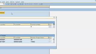 SAP Accounts Payable  Accounts Payable Process In SAP [upl. by Nhguavoj631]