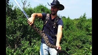 The LONGEST Timber Rattlesnake I Ever Handled [upl. by Eilrahs]