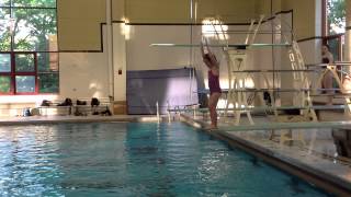 Teach a Flip for Springboard Diving [upl. by Ayekat235]