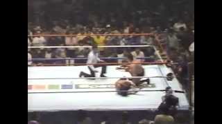 Rick Steamboat amp Tito Santana vs Don Muraco amp MrFuji [upl. by Abisha]