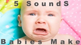 5 Sounds Babies Make  Newborn Cries  HQ [upl. by Yesnil]