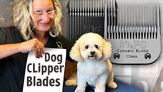 Dog Grooming Clipper BladesEverything You Need to Know [upl. by Rik]