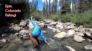 The TOP 10 fishing spots in Colorado  McFly Angler Fly Fishing [upl. by Ayotal]