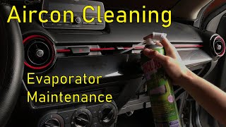 How to Clean your Cars Evaporator  Air Conditioning System [upl. by Honeyman]