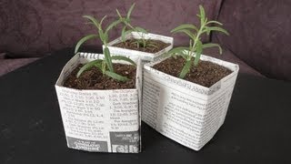 DIY Newspaper Pots for Seed StartingCuttings [upl. by Lleraj]