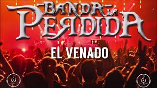 EL VENADO  Banda la Perdida disco en vivo 2019 [upl. by Nibla]