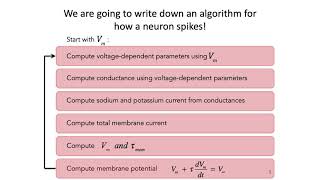 4 HodgkinHuxley Model Part 1  Intro to Neural Computation [upl. by Enobe681]