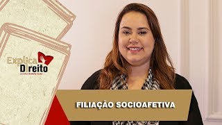 Explica Direito Filiação Socioafetiva  2019 [upl. by Aitak451]