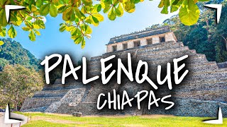 PALENQUE Chiapas amp Cascadas de ROBERTO BARRIOS 🔴¿cuánto cuesta ¿que hay ► ZONA ARQUEOLÓGICA MAYA [upl. by Ahtar]