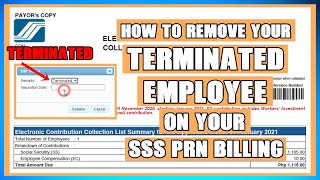 HOW TO REMOVE YOUR TERMINATED EMPLOYEE ON YOUR SSS PRN BILLING EMPLOYER [upl. by Armin470]