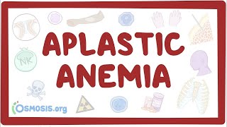 Aplastic anemia  an Osmosis Preview [upl. by Cannice]