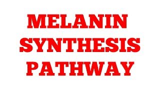 Melanin synthesis pathway  Phenylalanine Metabolism  Part2  Biochemistry [upl. by Fotinas21]