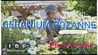 How to Grow Geranium Rozanne  Plant Profile [upl. by Raycher469]