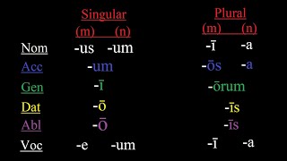 The Second Declension in Latin Made Simple [upl. by Astred]