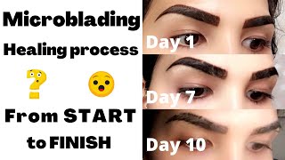 Microblading healing process from start to finish  Eyebrows experience  VLOG [upl. by Berghoff]