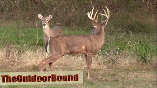 AWESOME HEART SHOTRavin Crossbow vs Whitetail Buck [upl. by Lhamaj760]