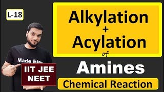 L18 Alkylation  Acylation of Amines  Chemical Reactions  JEE NEET  By Arvind Arora [upl. by Reham50]