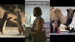 Memorable GEICO Commercials  Compilation [upl. by Isabella]