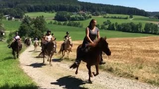 Reiten beim Pferdehof Koaser Minerl [upl. by Hamilah]