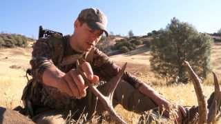 Steven Rinella Hunts His First Columbia Blacktail Deer in California  MeatEater [upl. by Ayram62]