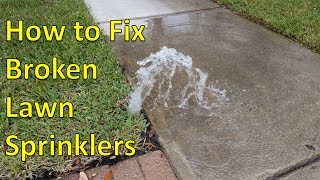 How to Fix Broken Sprinkler Heads [upl. by Belicia]