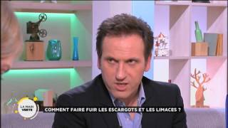 Comment faire fuir les escargots et les limaces [upl. by Bernstein]