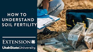 How to Understand Soil Fertility [upl. by Daughtry]