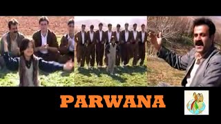 Parwana  Kurdish Music Halparke [upl. by Ahsinuq637]