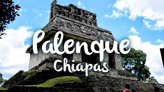 Palenque Chiapas que hacer en la zona arqueológica [upl. by Acined]