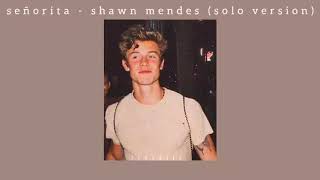 señorita  shawn mendes solo version  lyrics [upl. by Anniala]