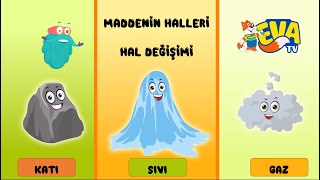 Maddenin Halleri ve Hal Değişimi [upl. by Imogen]