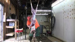 NEW World Record Deer Skinner [upl. by Peterman904]