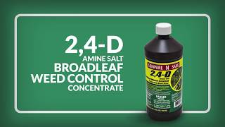 Compare N Save 24 D Amine Salt Broadleaf Weed Control [upl. by Yntruoc167]