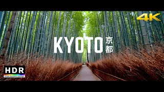 Kyoto Japan  219 Ultrawide 4K HDR  Arashiyama Bamboo Forest  Cinematic Short [upl. by Hocker]