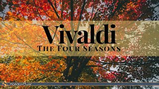 Vivaldi  The Four Seasons Metamorphose String Orchestra [upl. by Adiari]