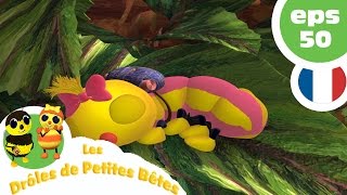 DRÔLES DE PETITES BÊTES  EP50  La poisse [upl. by Vokaay]